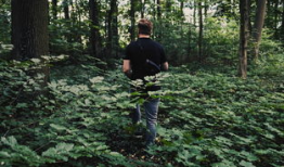 91户外树林直播,穿梭树林间的自然奇观实时呈现